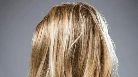 Sie + Er Hairstudio