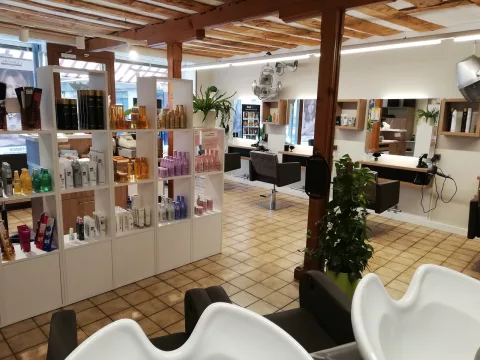 Salon Manderley/ Alexandre Martinez