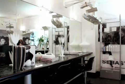 Studio des Alpes