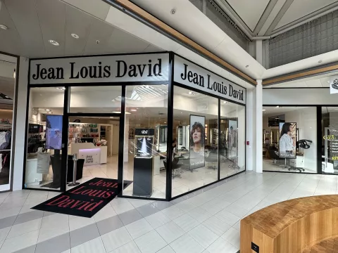 Jean Louis David