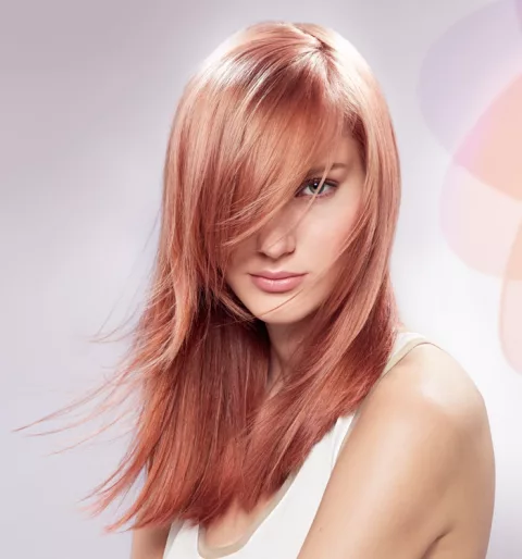 Coiffure Daniel Moll