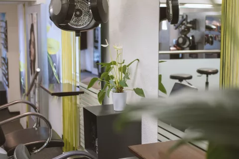 Coiffeur Steiner