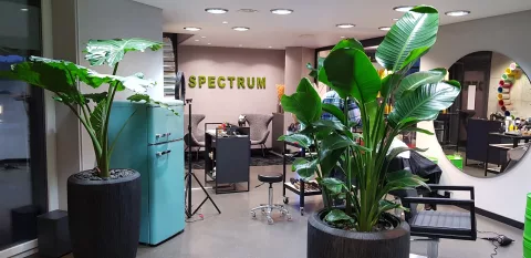 Spectrum Hair Studio