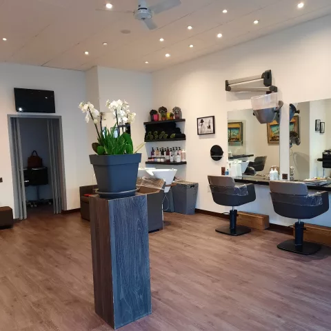 Coiffure Arlequin