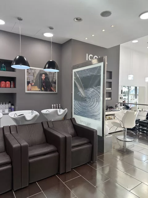 Coiffure du Palace