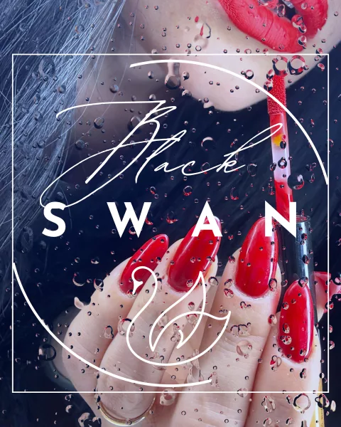 Black Swan Beauty Studio