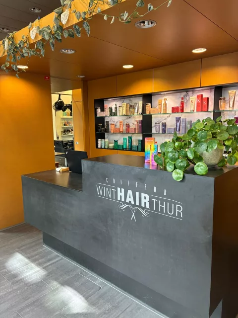 Coiffeur Winthairthur Gmbh