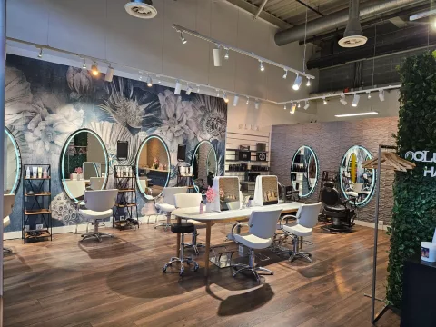Oly Coiffure