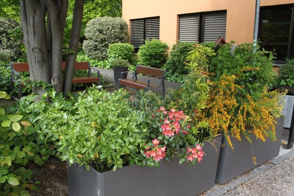 Residence Les Franchises