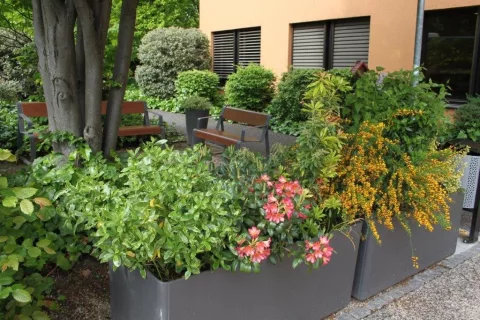 Residence Les Franchises