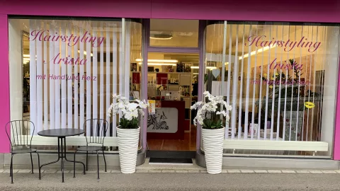 Hairstyling Arista