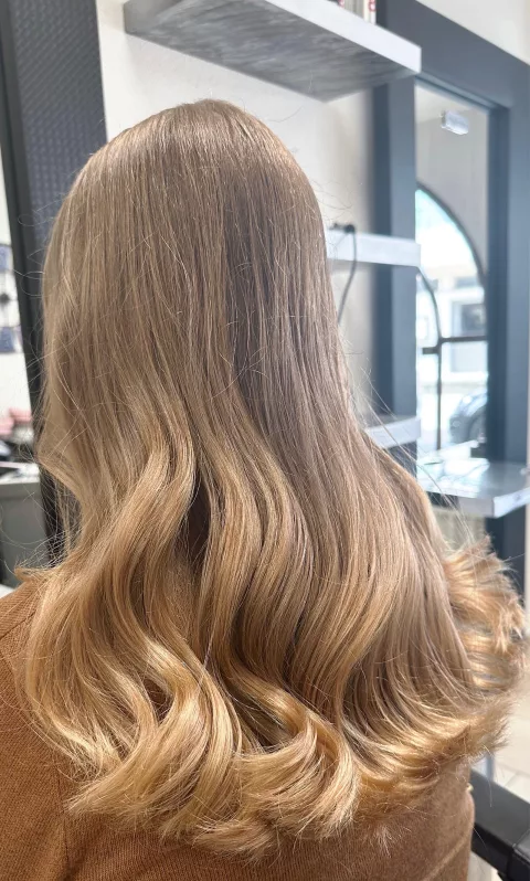 Diamondshair By Sheila Bigler