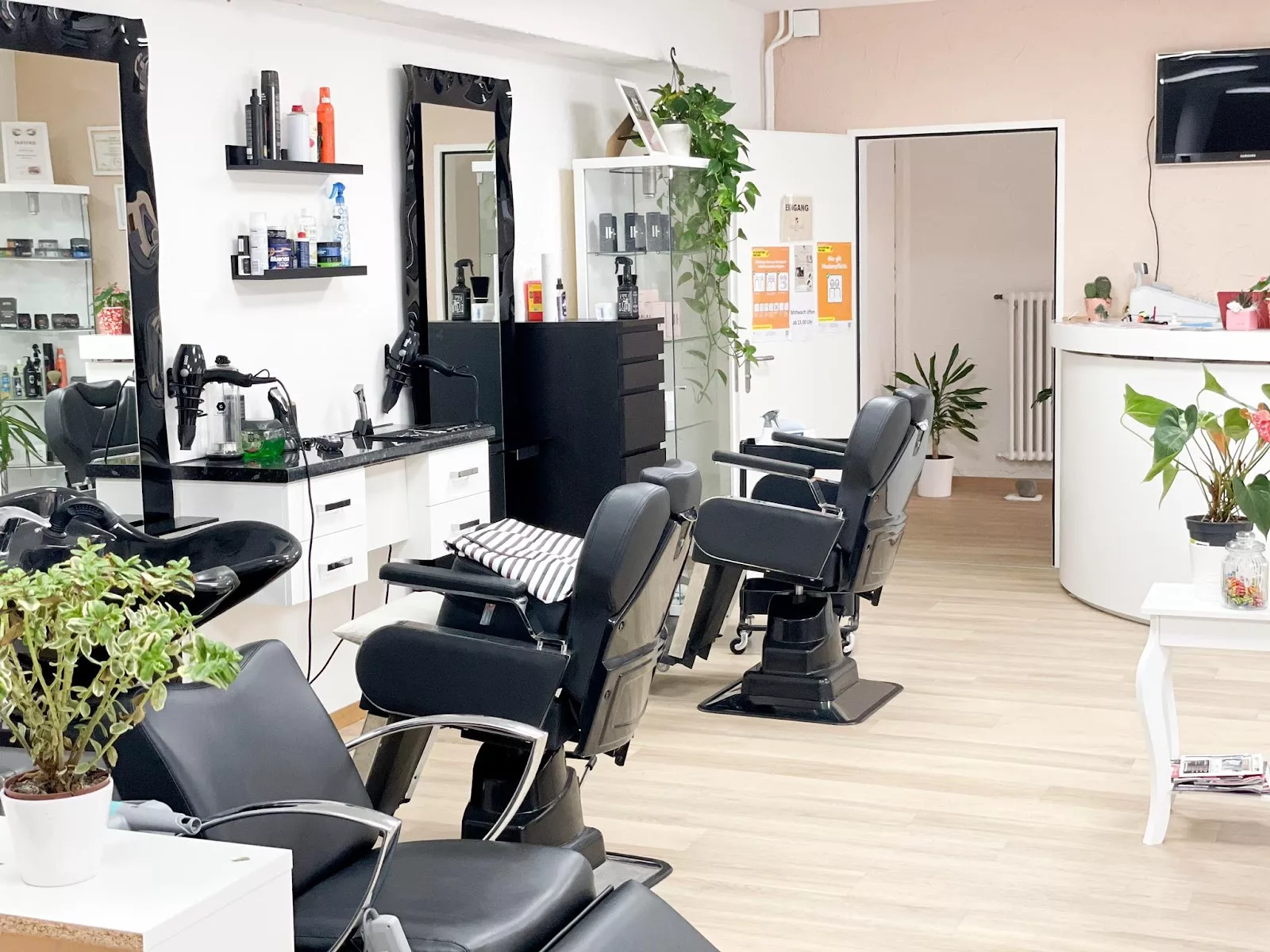 HAIRGISWIL by MS Dayananda