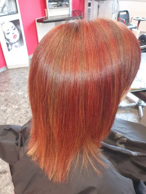 Gc Creation