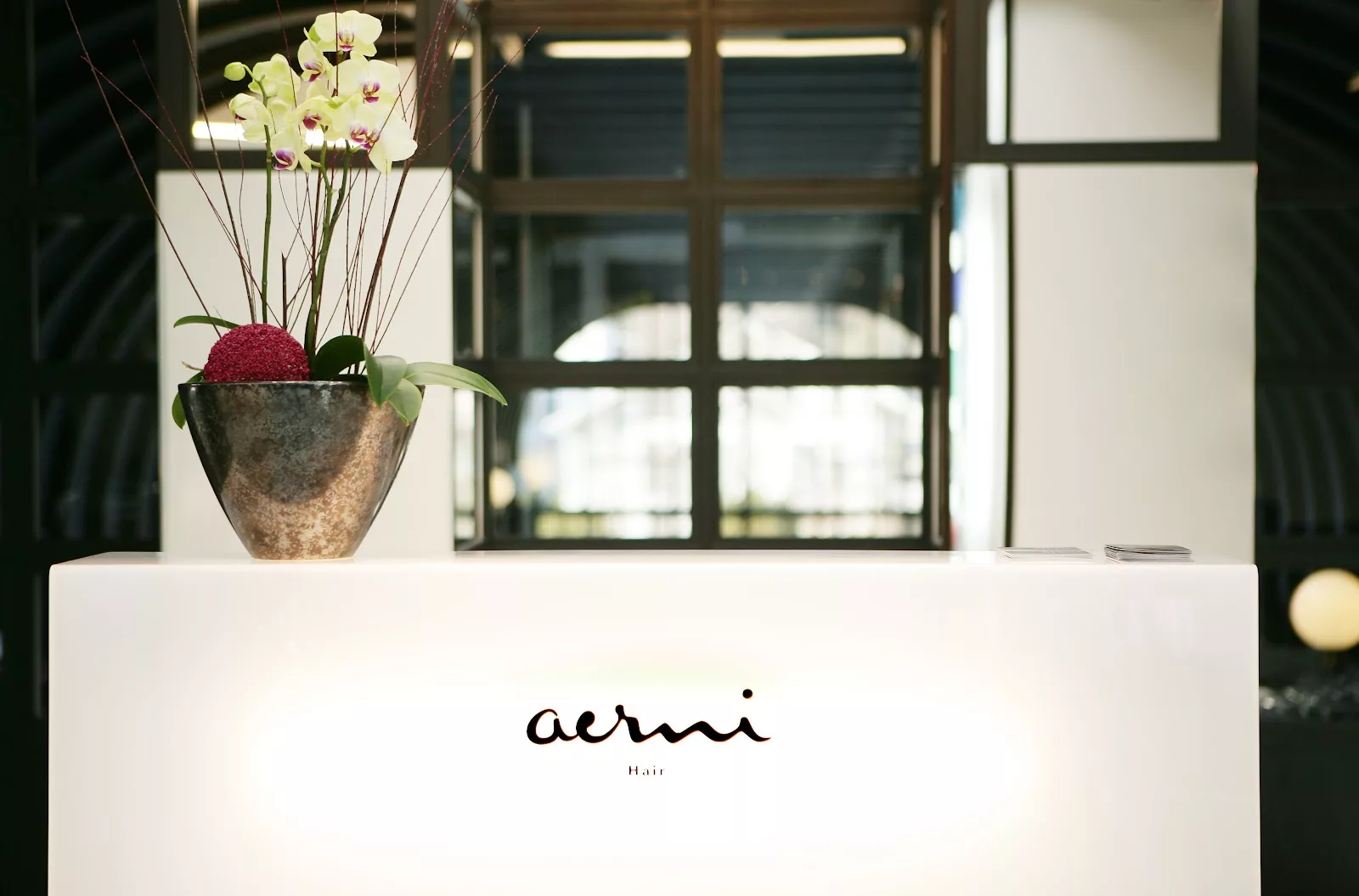 Aerni Haar Kleid Bar Spa