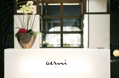Aerni Haar Kleid Bar Spa