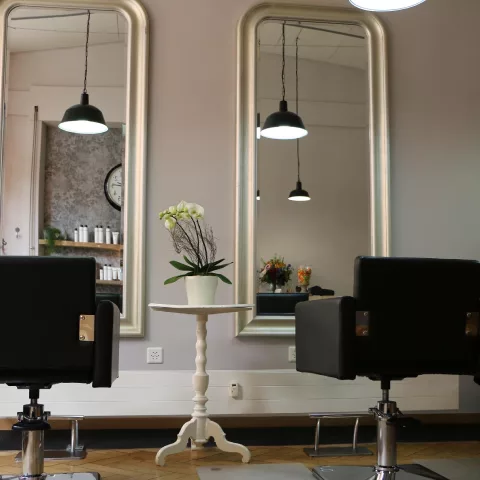 Flamingo Hair-Shop