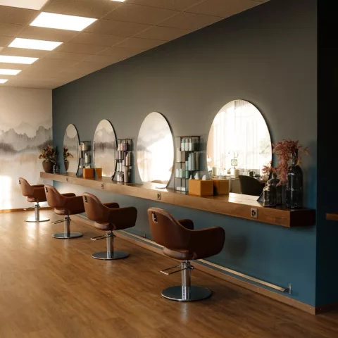 frisiert GmbH