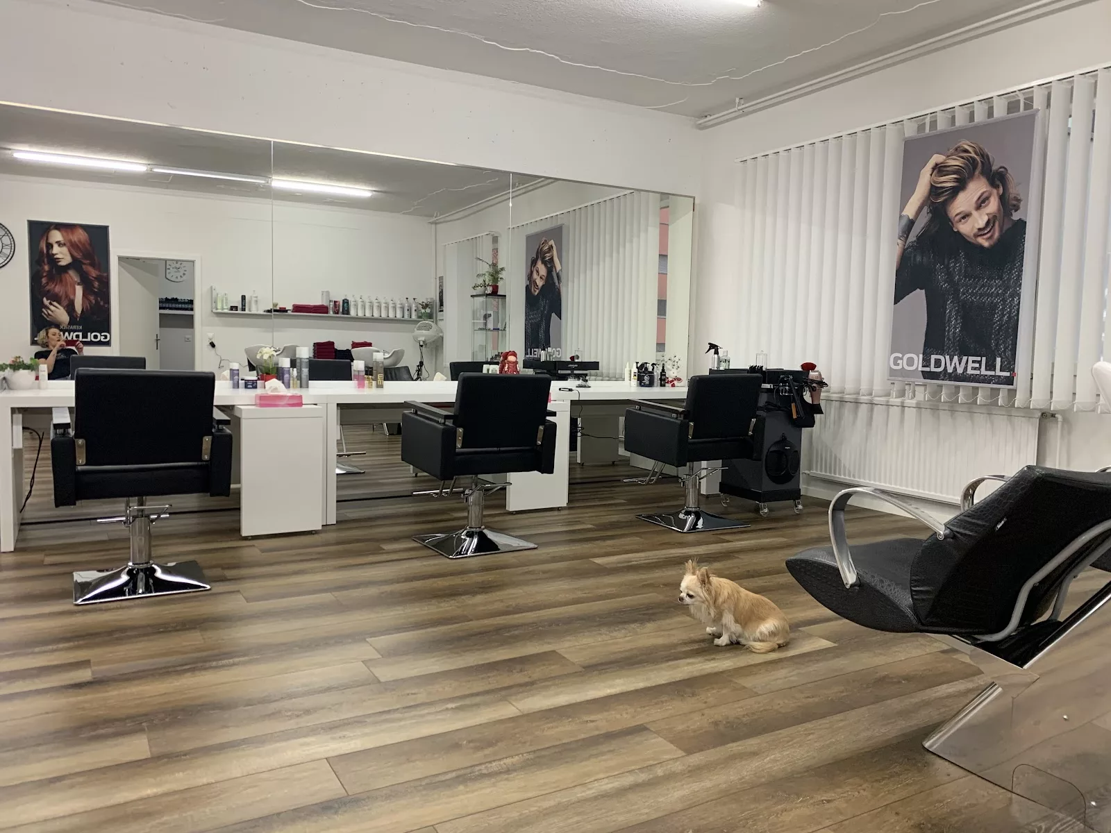 Coiffeur Haarley